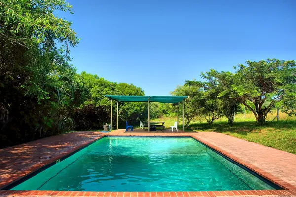 Buceadores piscina de entrenamiento — Foto de Stock