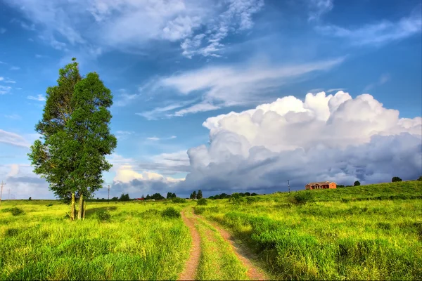 Red sand road through field — Stock Photo, Image