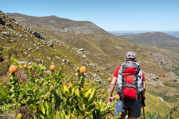 Wild African flowers and backpacker — Stock Photo, Image