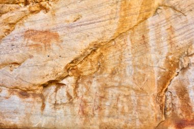 Cederberg Bushmen Resim Sergisi - avcılar ve filler