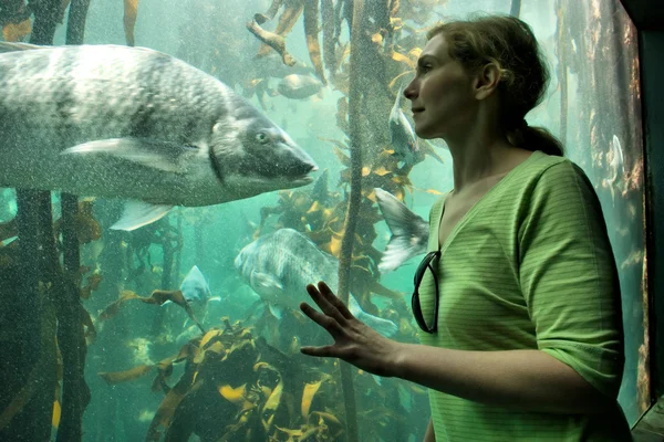 Mujer joven mira peces grandes — Foto de Stock