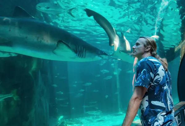 Joven observa un tiburón — Foto de Stock