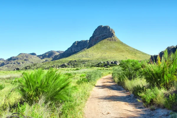 Dirt road towards mountains — Stock Photo, Image