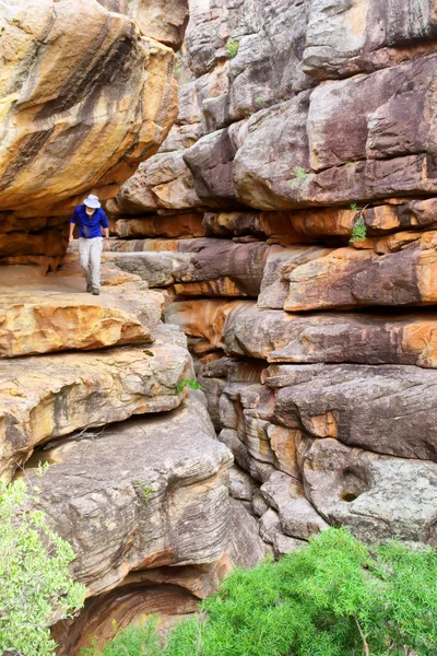Canyon com rochas vermelho-amarelas — Fotografia de Stock