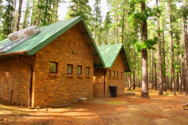 Casas forestales ecológicas después de la lluvia —  Fotos de Stock