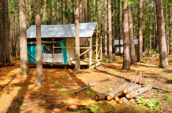两个森林帐篷房子雨后 — 图库照片