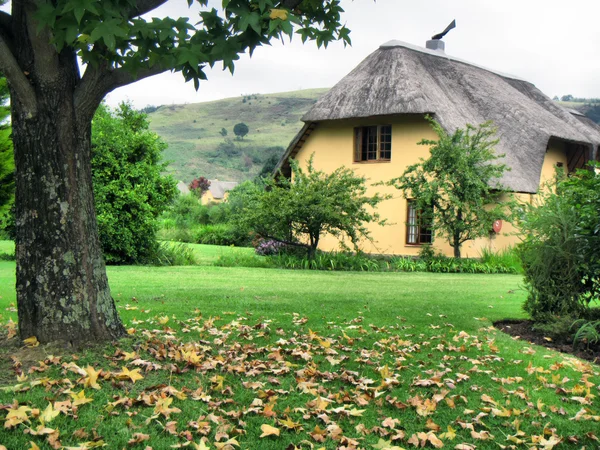 Autumn tree and vacation house in Drakensberg — Stock Photo, Image