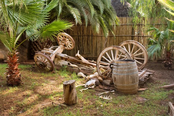 Composizione artistica bue-carro in giardino — Foto Stock