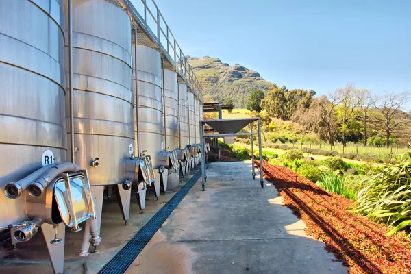 Equipo de elaboración de vino contra montañas —  Fotos de Stock