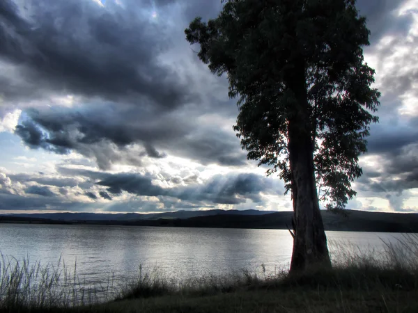 Strom na jezeře pod dramatické nebe — Stock fotografie
