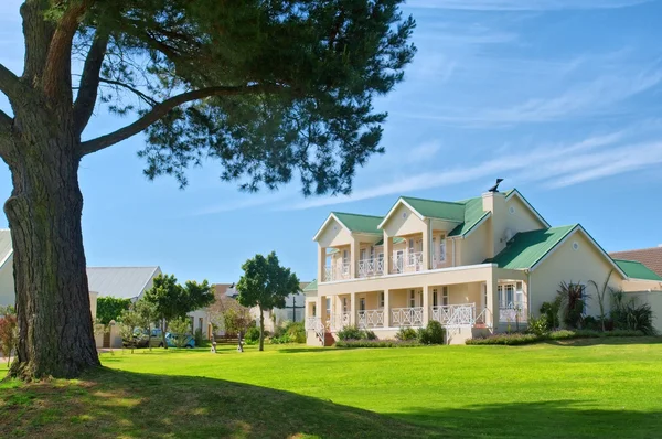 Huge pine tree and expensive house on golf estate — Stock Photo, Image