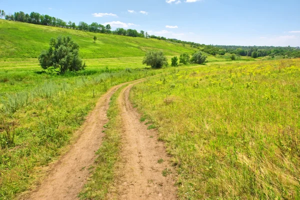 Summer road in countryside — Stock Photo, Image