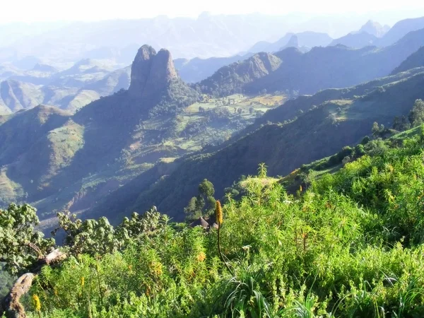 Montagne nebbiose — Foto Stock