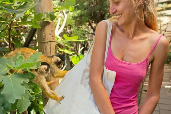 Dos monos pequeños y lindos inspeccionan el bolso de la chica — Foto de Stock