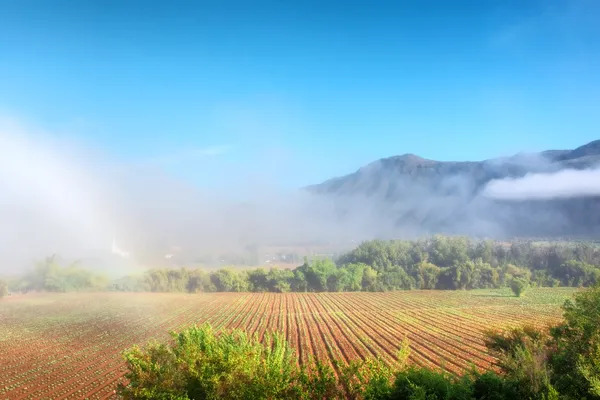 Awesome mistige boerderij veld tegen bergen — Stockfoto