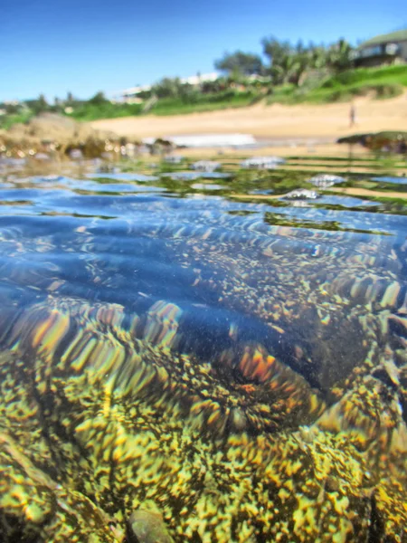 Foto de playa de bajo ángulo — Foto de Stock