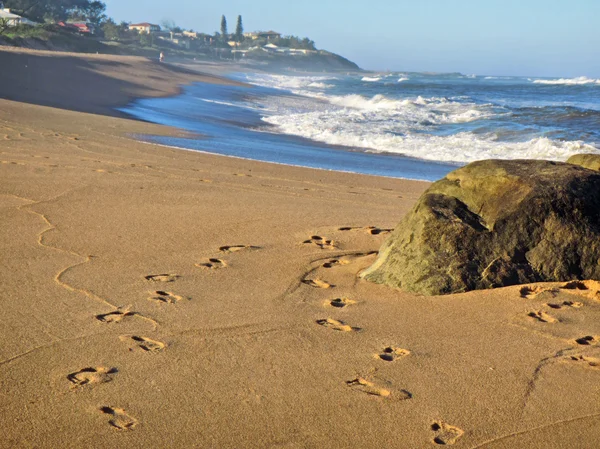 Rock på stranden och fotavtryck på sand — Stockfoto