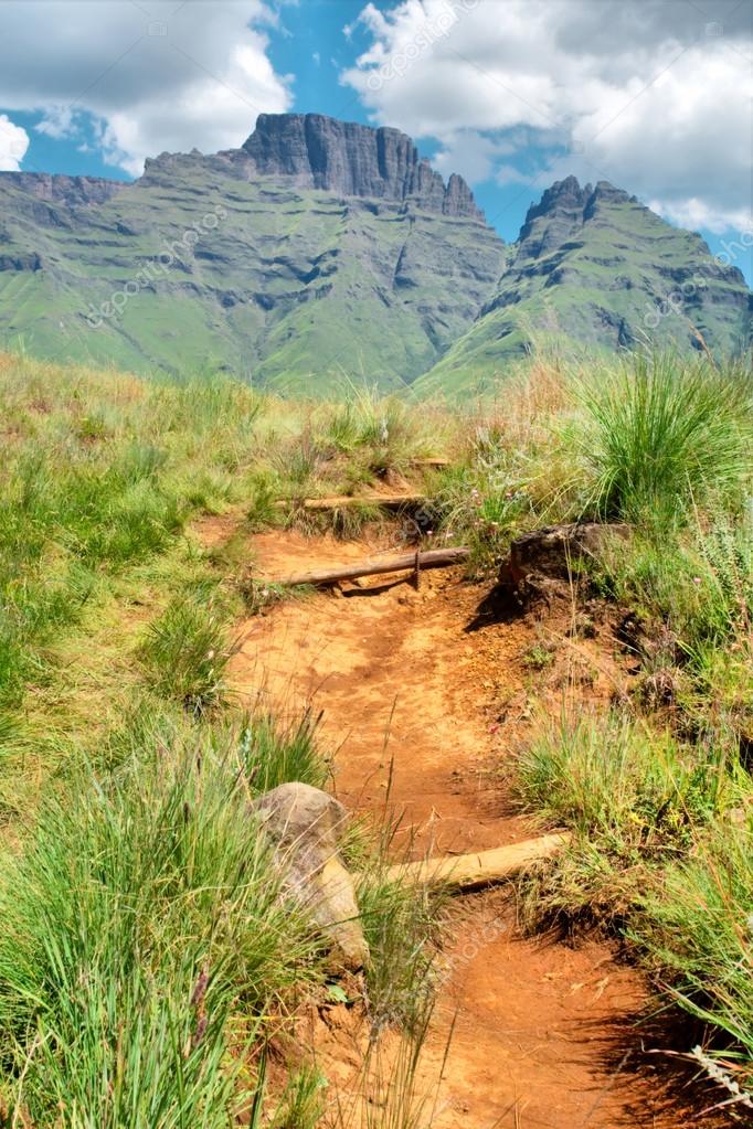 cathkin trails