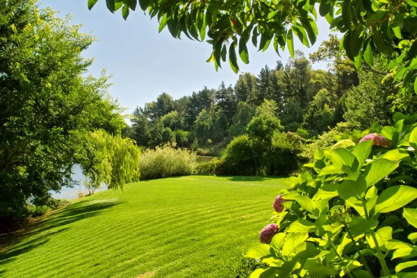 Lawn next to river and forest — Stock Photo, Image