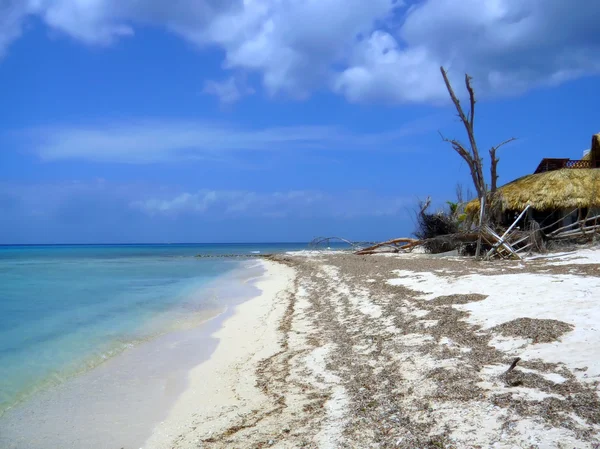 Shore after tropical hurricane — Stock Photo, Image