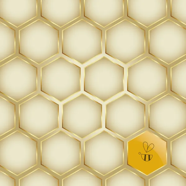 蜂蜜背景コレクション — ストックベクタ