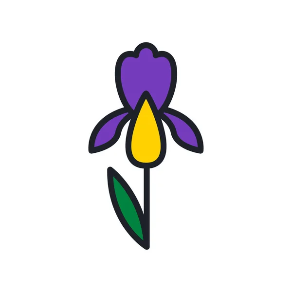 Ícone de flor da íris. Flores do jardim ícone vetor isolado —  Vetores de Stock