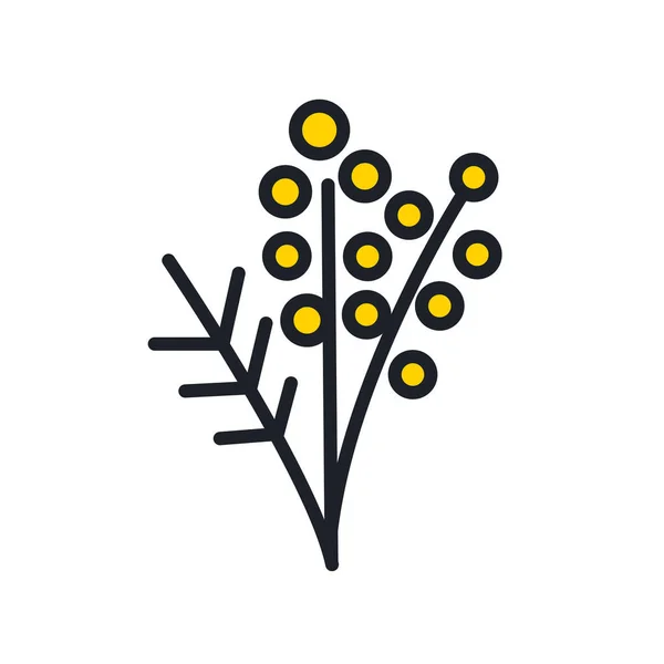 Икона Мимозы. Весенние цветы изолированные векторные иконы — стоковый вектор