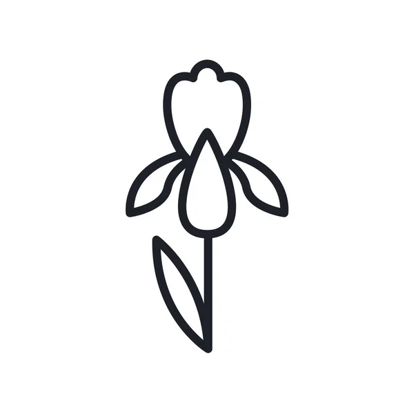 Icono de flor de iris. Flores de jardín icono vector aislado Vector De Stock