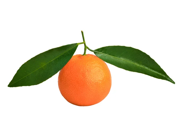 Tangerine met groen blad — Stockfoto