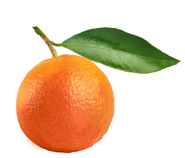 Mandarino con foglia verde. Isolato su bianco — Foto Stock