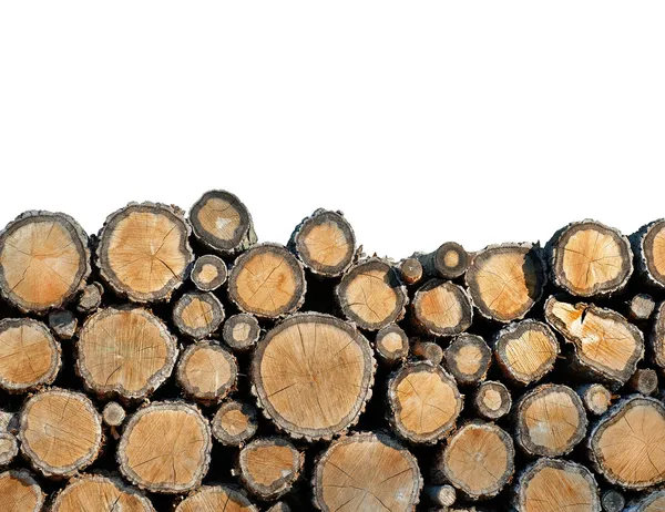 Ağaç felling — Stok fotoğraf