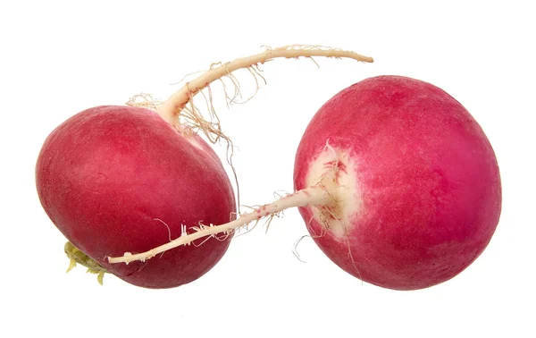 Red radish isolated on white background — Stock Photo, Image