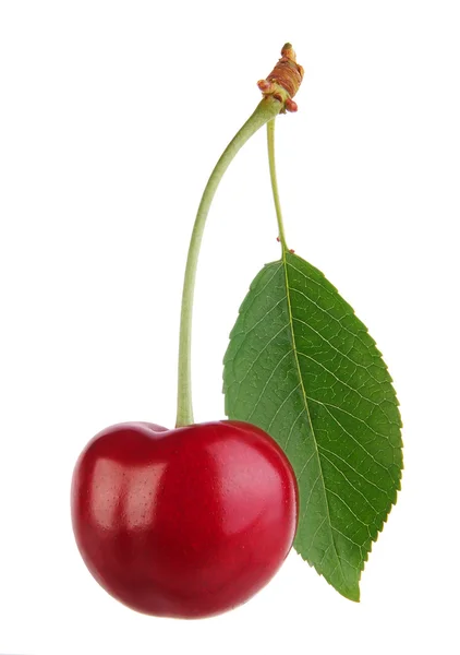 Sweet cherry izolované na bílém — Stock fotografie