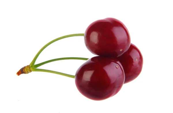 Sweet cherry na białym tle — Zdjęcie stockowe