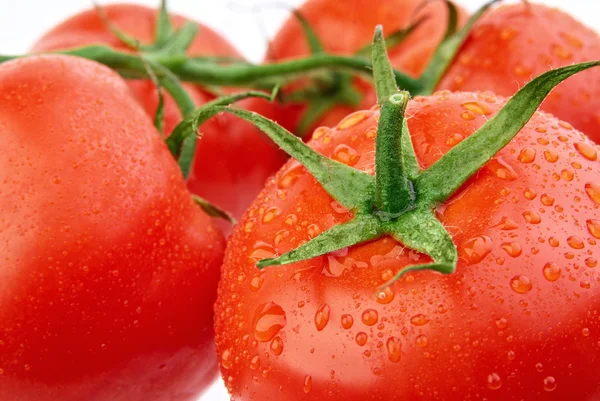 Pomodori bagnati rossi freschi perfetti con pomodoro sullo sfondo, molto s — Foto Stock