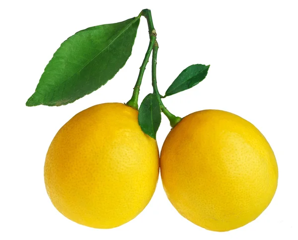 Limones con hojas aisladas sobre blanco — Foto de Stock