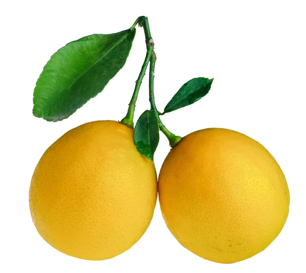 Lemons with leaves isolated on white — Stock Photo, Image