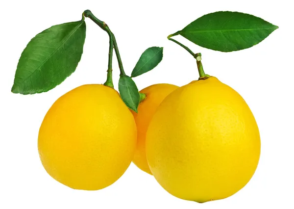 Zitronen mit Blättern isoliert auf weiß — Stockfoto