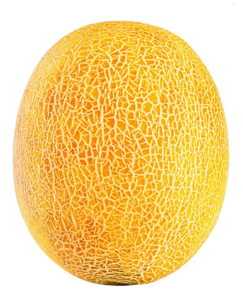 Cantaloupe maduro isolado sobre um fundo branco — Fotografia de Stock