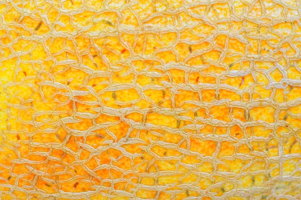 Closeup of yellow melon texture and detail of the skin — Stock Photo, Image
