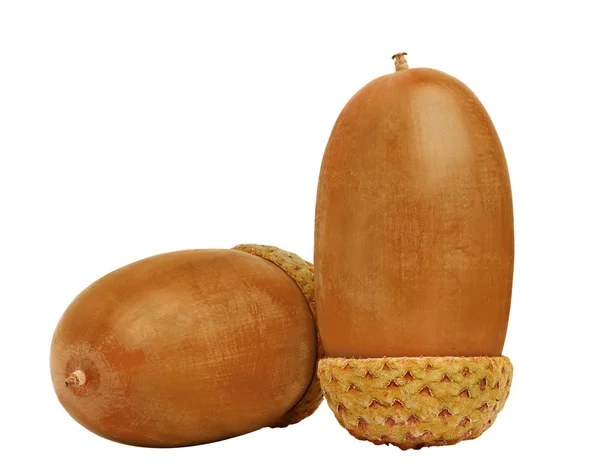 Two acorns on a white background — Stock Photo, Image