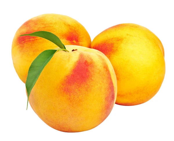 Beyaz arka planda olgun şeftaliler