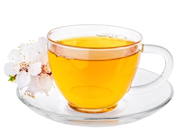 White cup of Tea and Apricot Flowers — Stock Photo, Image