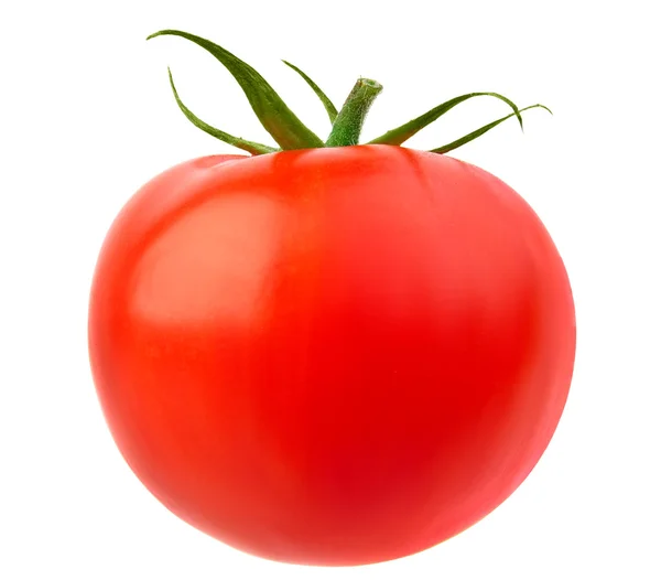 Tomato isolated on white background — Stock Photo, Image