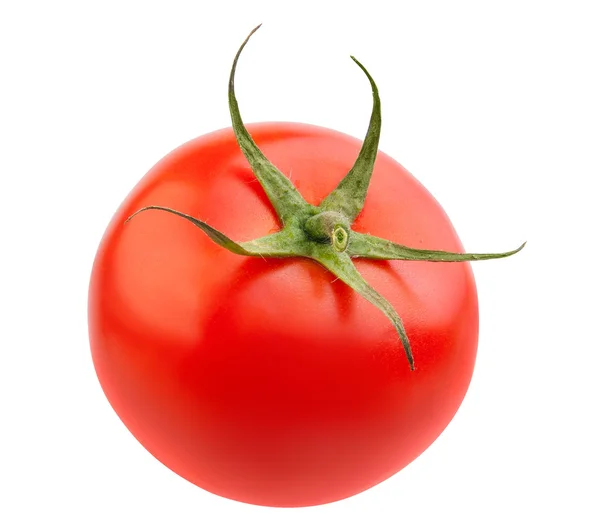 Tomate isoliert auf weißem Hintergrund — Stockfoto