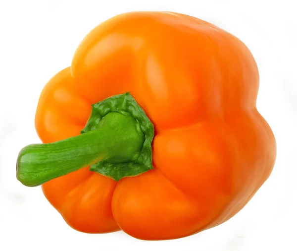 Orange peber isoleret på hvid baggrund - Stock-foto