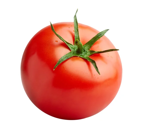 Tomate rojo — Foto de Stock