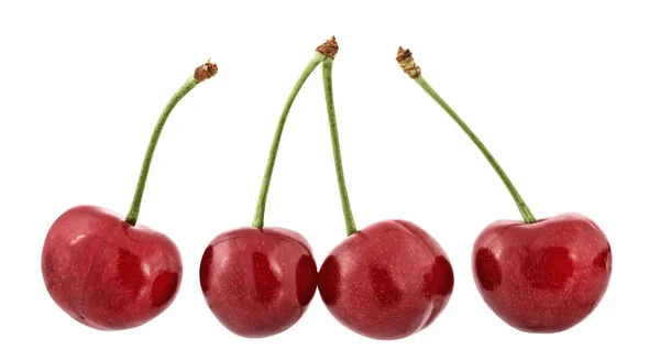 Sweet cherry na białym tle — Zdjęcie stockowe