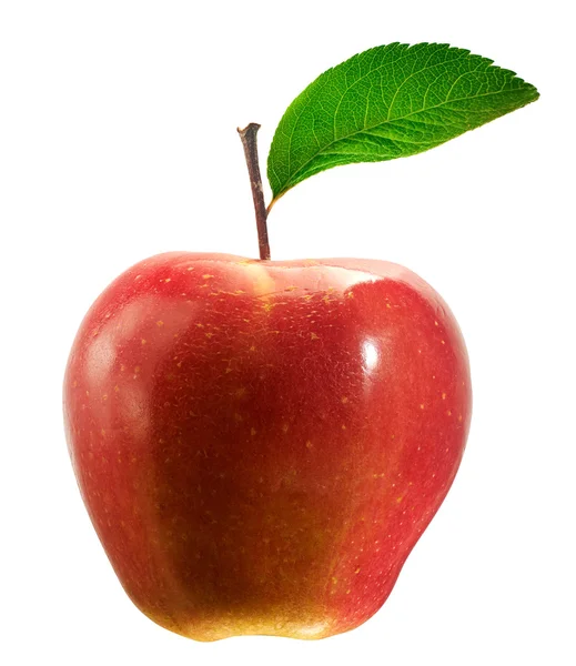 Izolovaný Apple — Stock fotografie