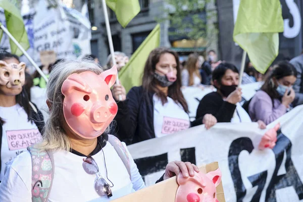 Buenos Aires Argentína Szeptember 2021 Global Climate Strike Egy Visel — Stock Fotó